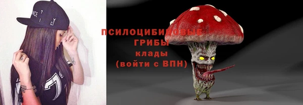 дживик Гусиноозёрск
