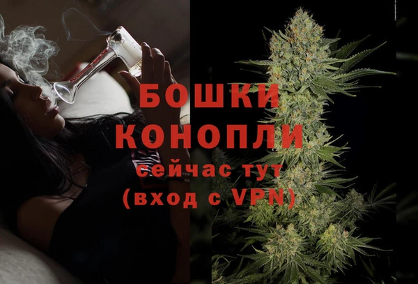 дживик Гусиноозёрск